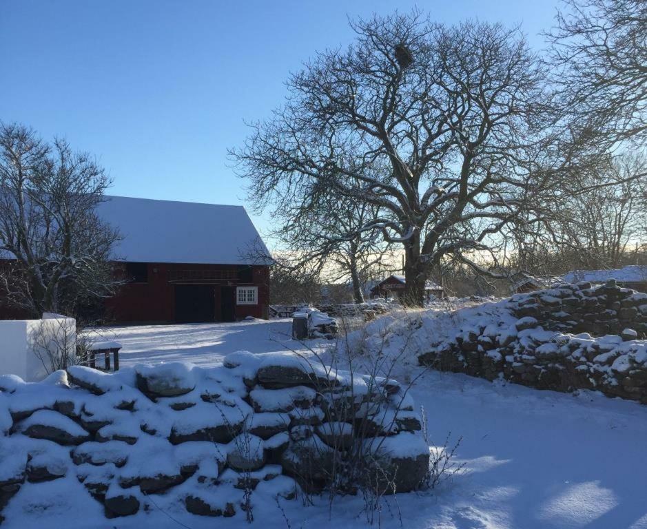 Rosenborgs Friluftspensionat Färjestaden Exterior foto