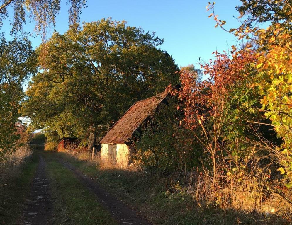 Rosenborgs Friluftspensionat Färjestaden Exterior foto