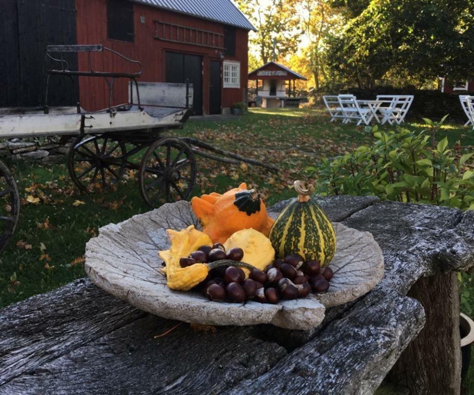 Rosenborgs Friluftspensionat Färjestaden Exterior foto
