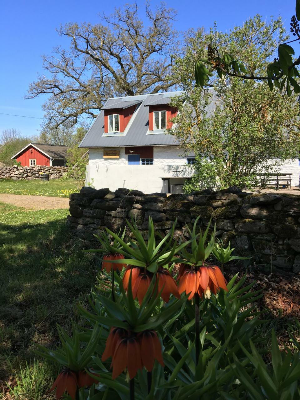 Rosenborgs Friluftspensionat Färjestaden Exterior foto